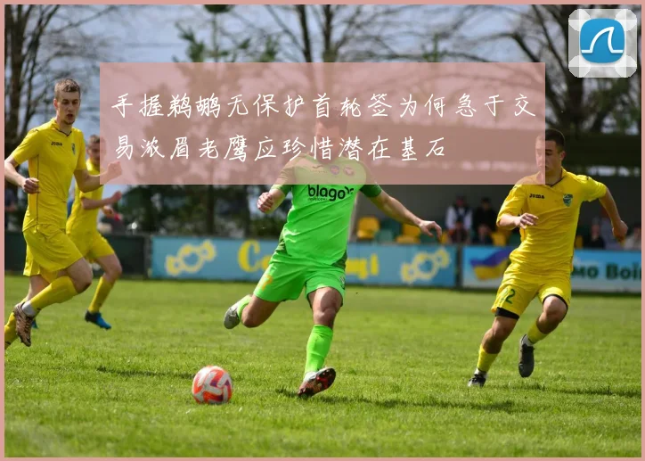 手握鹈鹕无保护首轮签为何急于交易浓眉老鹰应珍惜潜在基石