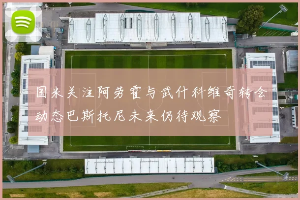 国米关注阿劳霍与武什科维奇转会动态巴斯托尼未来仍待观察